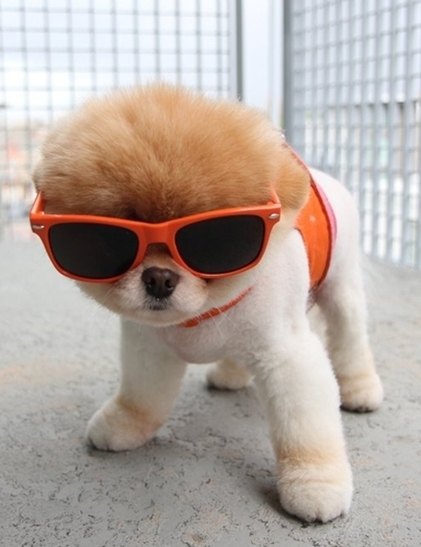 น้องบู หนูน่อร๊อว์กอะ!!