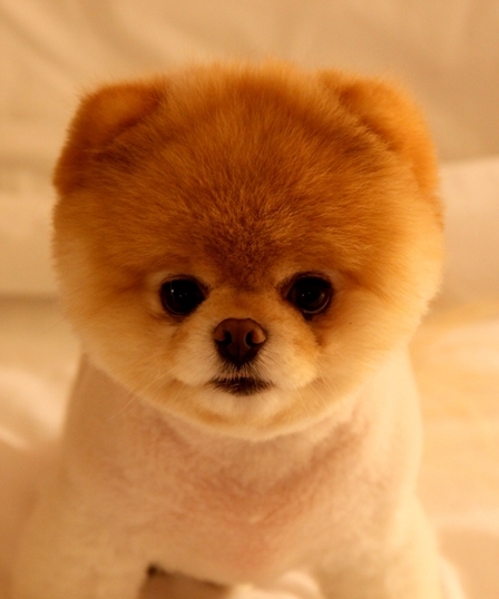 น้องบู หนูน่อร๊อว์กอะ!!