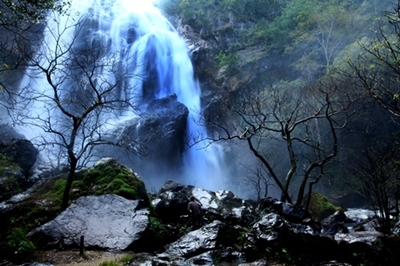 Escape to Nature and Culture