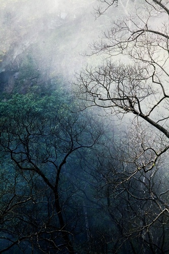 Escape to Nature and Culture