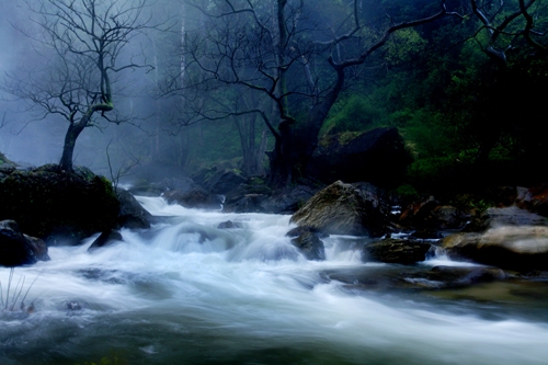 Escape to Nature and Culture