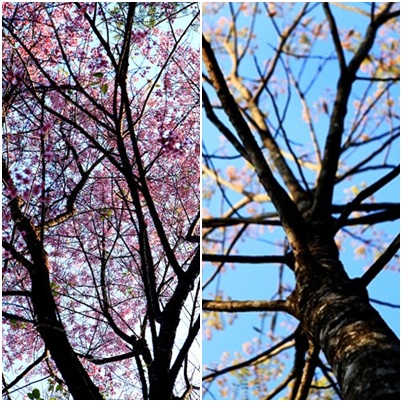 "น่าน" เมืองเล็ก "โรแมนติก"
