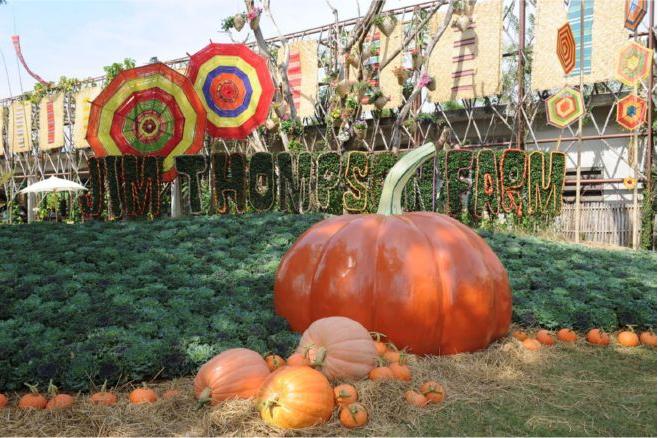 Jim Thomson Farm จัดหนักความงามสไตล์อีสาน