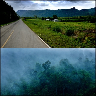 Ramanctic road  ถนน “สีชมพู”