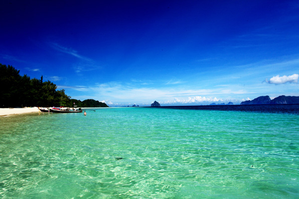 ตรัง  IN LOVE