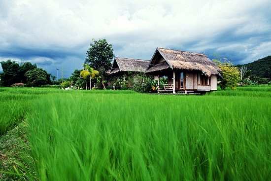 'ปาย' ยังไม่สาย สำหรับความรัก..