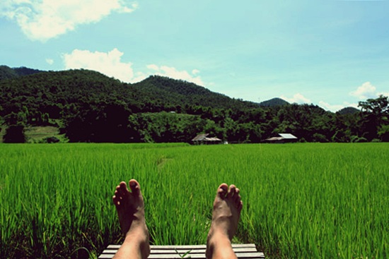 'ปาย' ยังไม่สาย สำหรับความรัก..