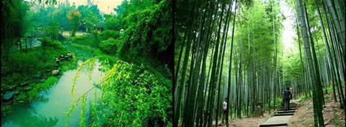 15 เมืองในหนัง : จินตนาการที่มีจริง