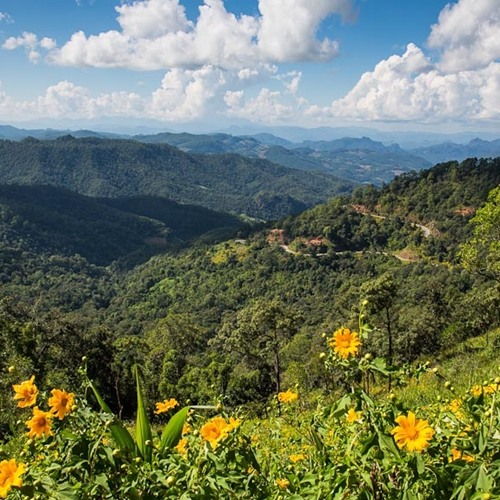 10 เส้นทาง Road Trip สุดยอดวิวทิวทัศน์