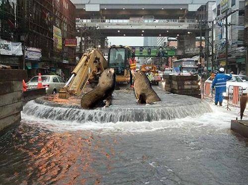 สื่อนอก ชาวเน็ต ล้อขำๆ Amazing Thailand ท่อแตกกลางกรุง