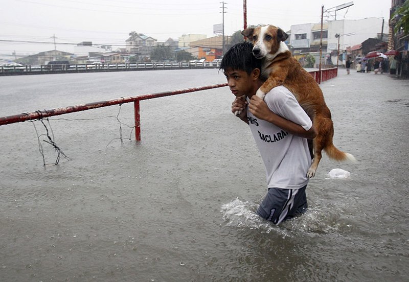 หนึ่งภาพ แทนคำนับพัน : 45 ภาพทรงพลังอย่างแรงแห่งปี!! (ชุดที่ 1)