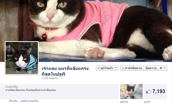 ชัชชาติฟีเวอร์ : วีรกรรมทำเอาฮา?