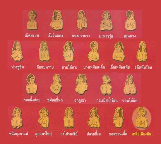 เปิดตำรา “หน้าอกสตรี” ผู้หญิงรู้ได้ ผู้ชายรู้ยิ่งดี!