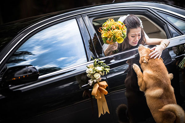 ไอเดียภาพแต่งงานรับวาเลนไทน์กับมุมมองที่คุณหวังให้มี