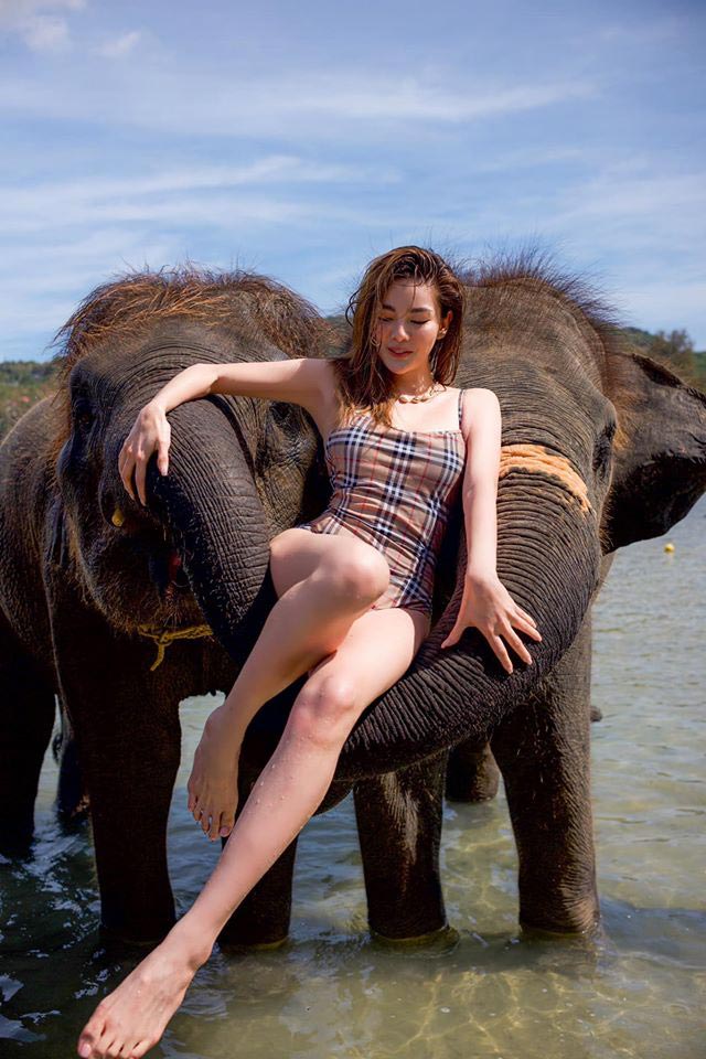 'รักดิว... ต้องรักน้องช้างกันนะ'