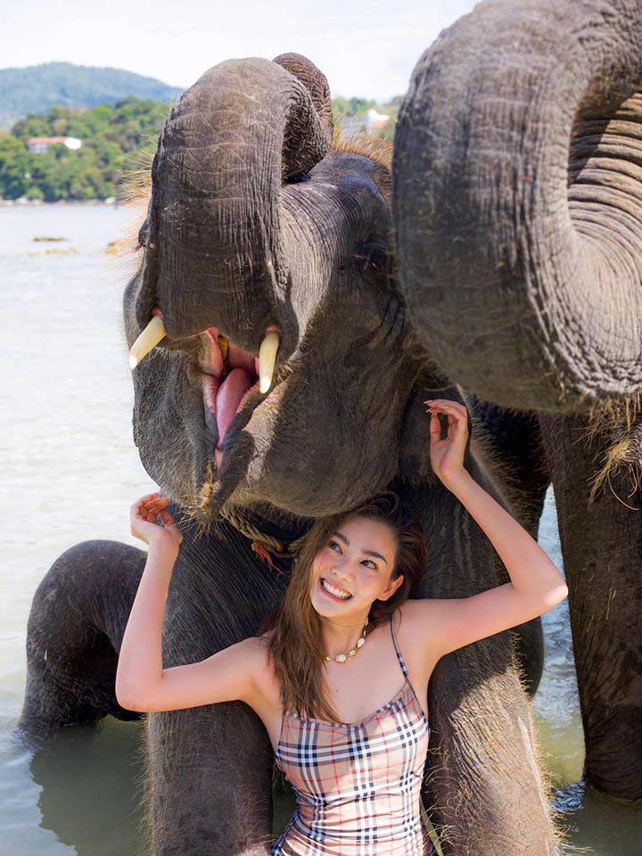 'รักดิว... ต้องรักน้องช้างกันนะ'