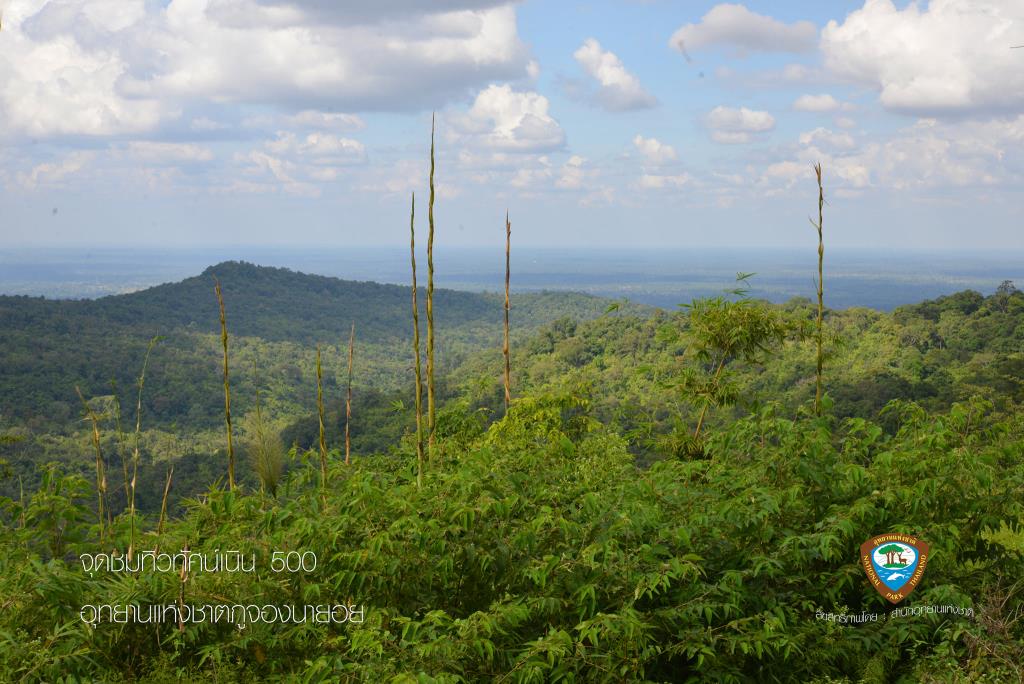 จุดชมทิวทัศน์เนิน 500 อุทยานแห่งชาติภูจองนายอย