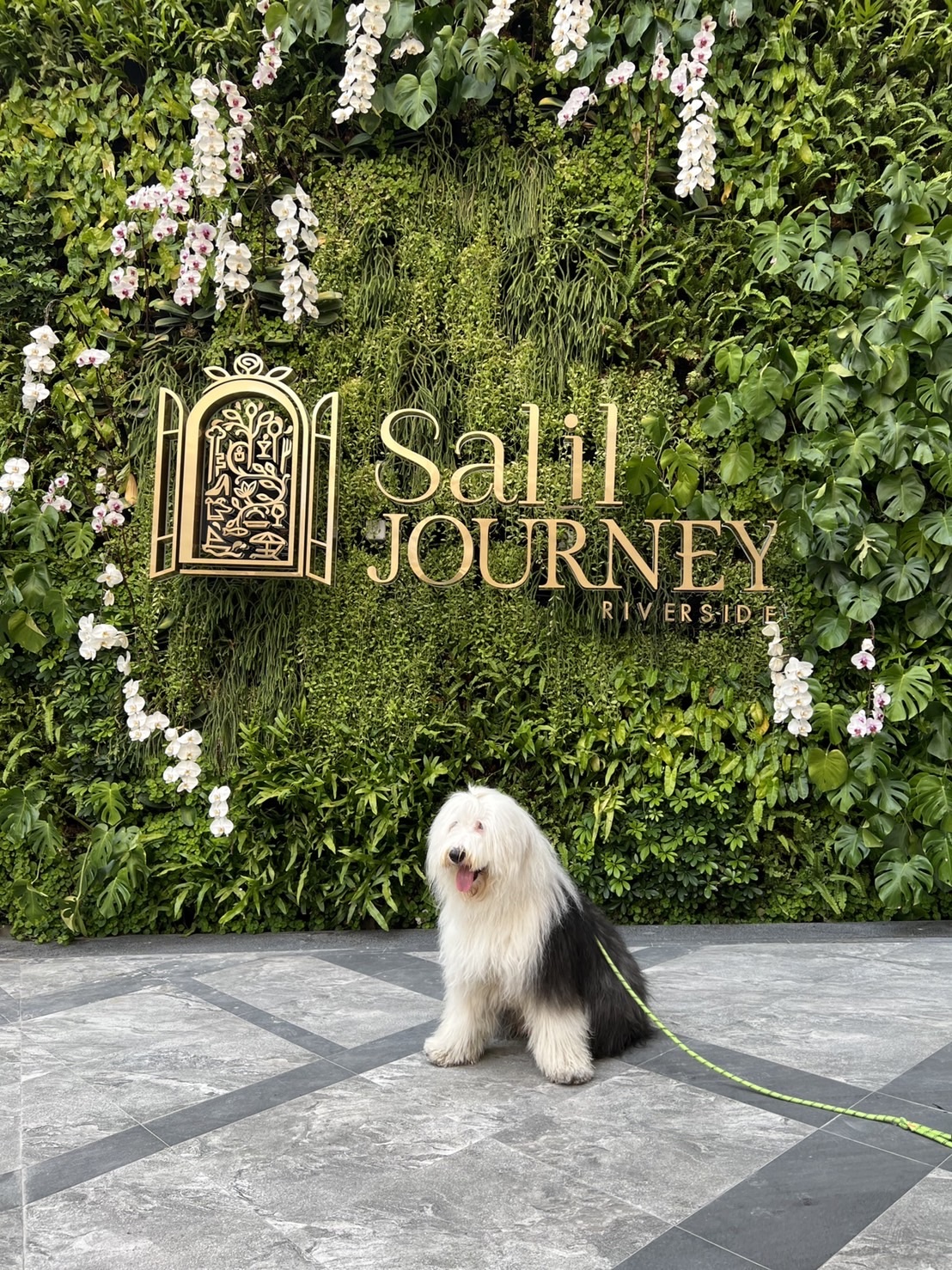 ขมวดรวมไลฟ์ไสตล์เปสสุดชิคที่ “Salil Journey Riverside” ครบจบในที่เดียว