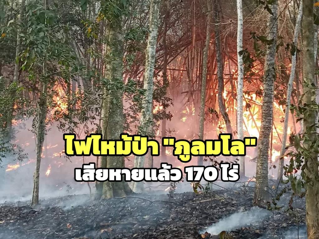 ภาพ : สำนักบริหารพื้นที่อนุรักษ์ที่11