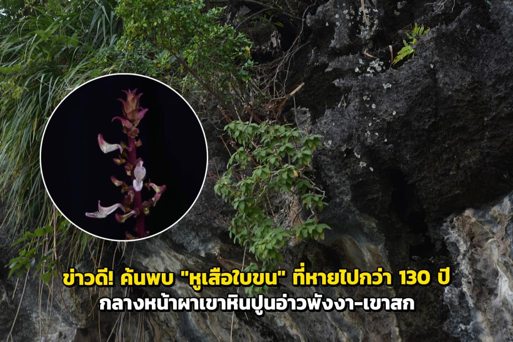 (ภาพจากเพจ กรมอุทยานแห่งชาติ สัตว์ป่า และพันธุ์พืช)