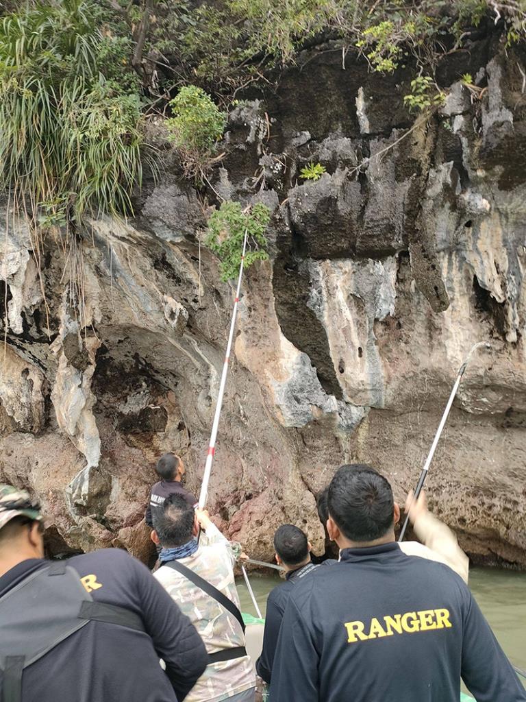 (ภาพจากเพจ กรมอุทยานแห่งชาติ สัตว์ป่า และพันธุ์พืช)