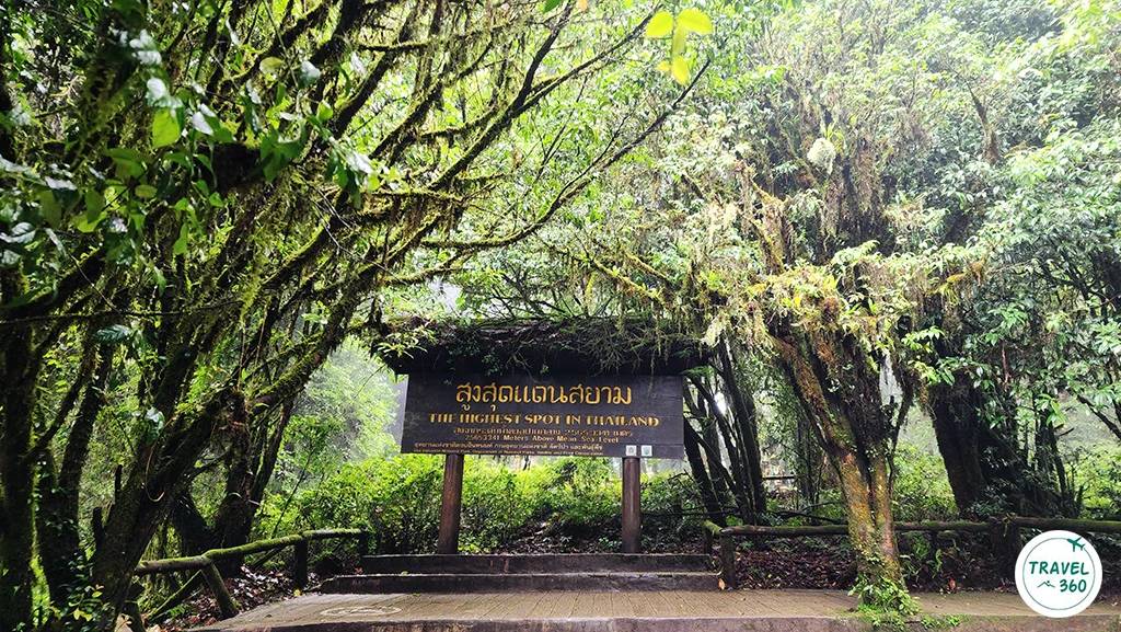 ดอยอินทนนท์ อันดับ 3 อุทยานฯ ยอดฮิต นทท.สูงสุดช่วงเทศกาลปีใหม่ 69 