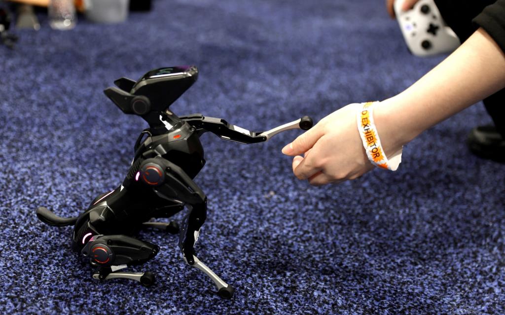 หุ่นยนต์ที่จับมือกับมนุษย์อยู่นี้คือสุนัขหุ่นยนต์จาก Hengbot Innovation 
