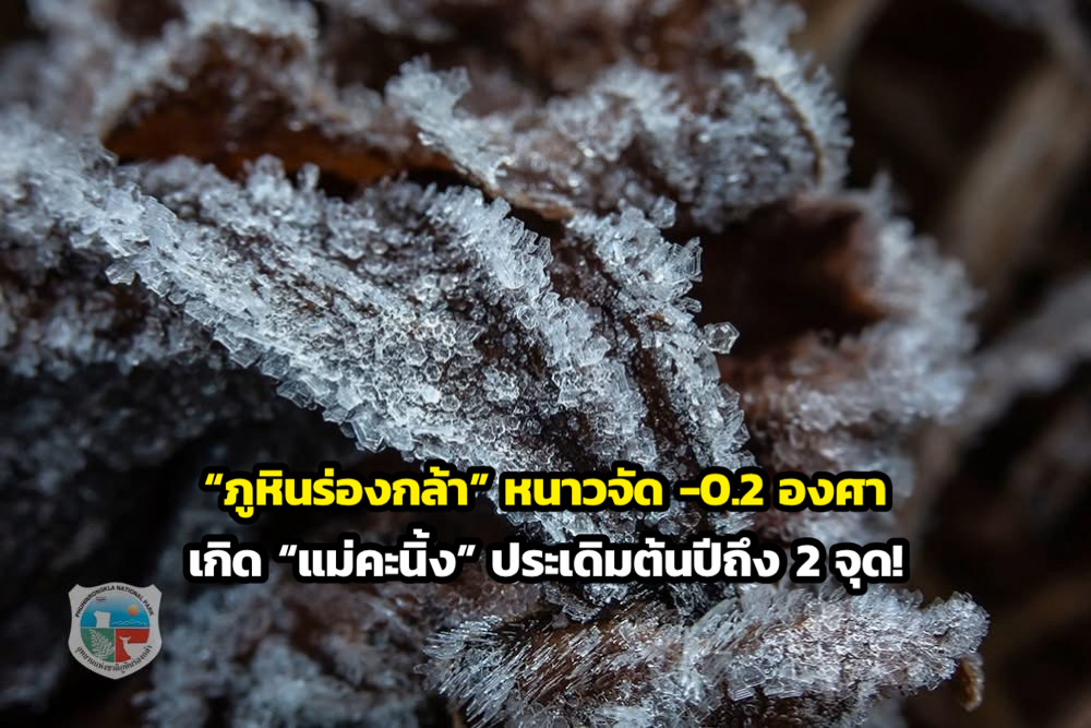 ภาพจาก อช. ภูหินร่องกล้า
