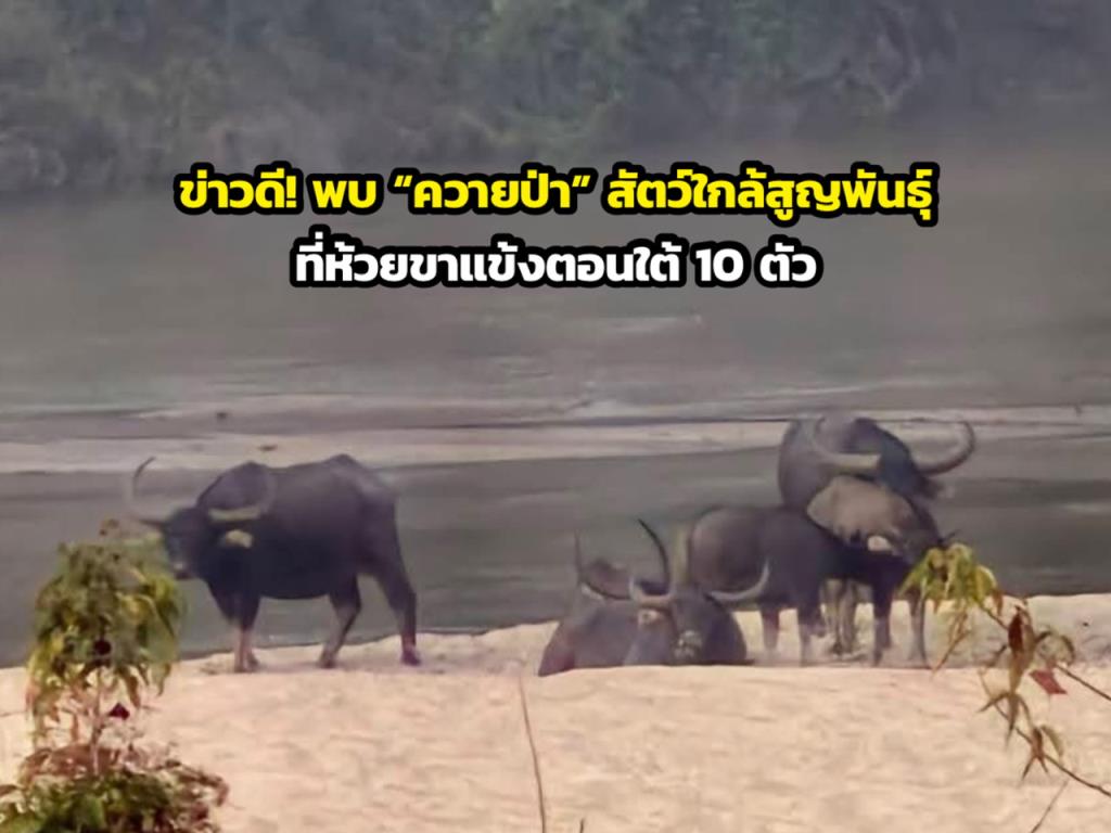 ภาพจากประชาสัมพันธ์กรมอุทยานแห่งชาติฯ