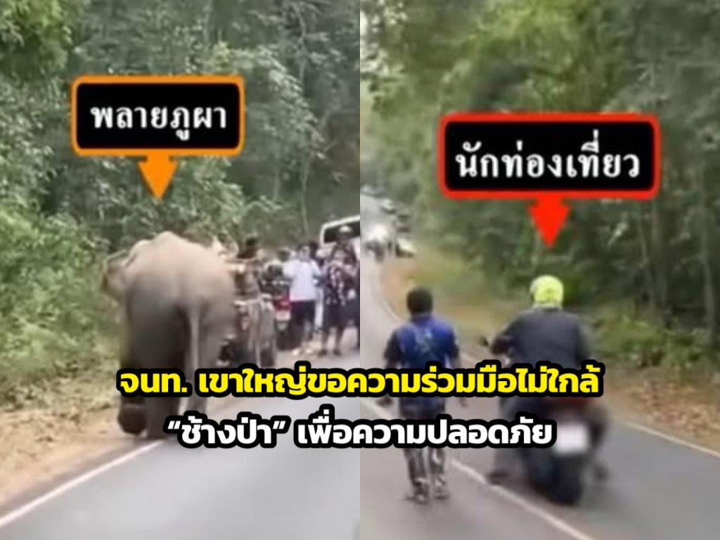 ภาพจาก อช.เขาใหญ่