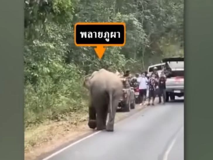 ภาพจาก อช.เขาใหญ่