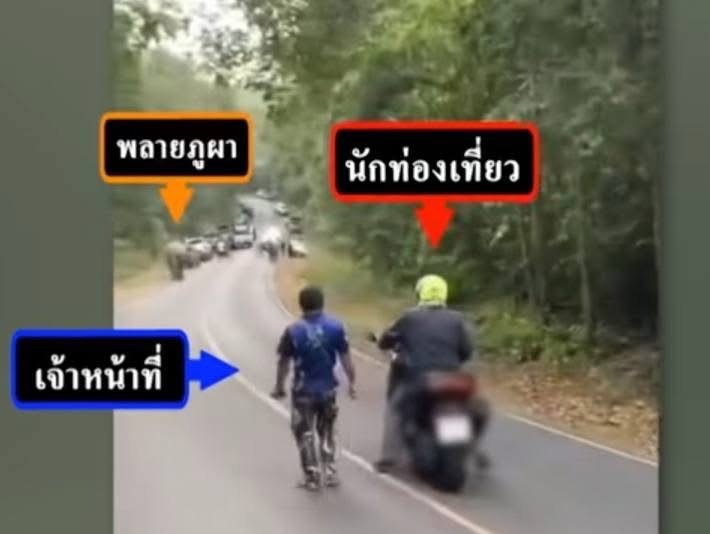 ภาพจาก อช.เขาใหญ่