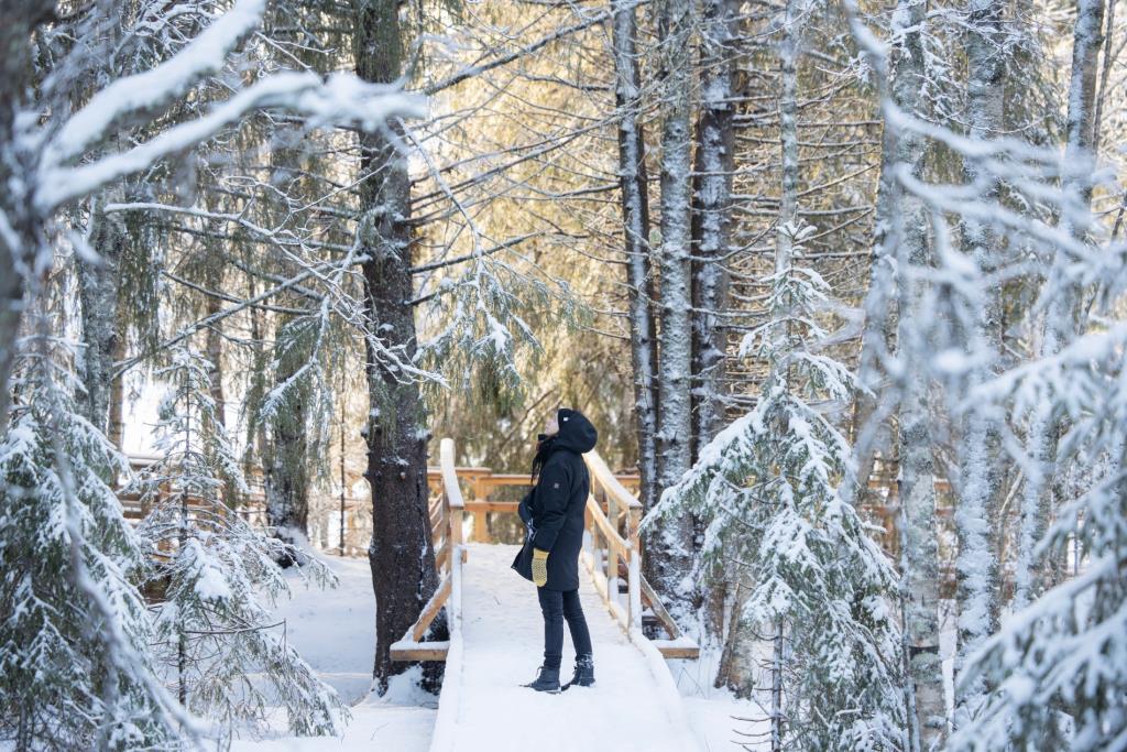 Photo: Harri Taravainen (https://oulu2026.eu/en)