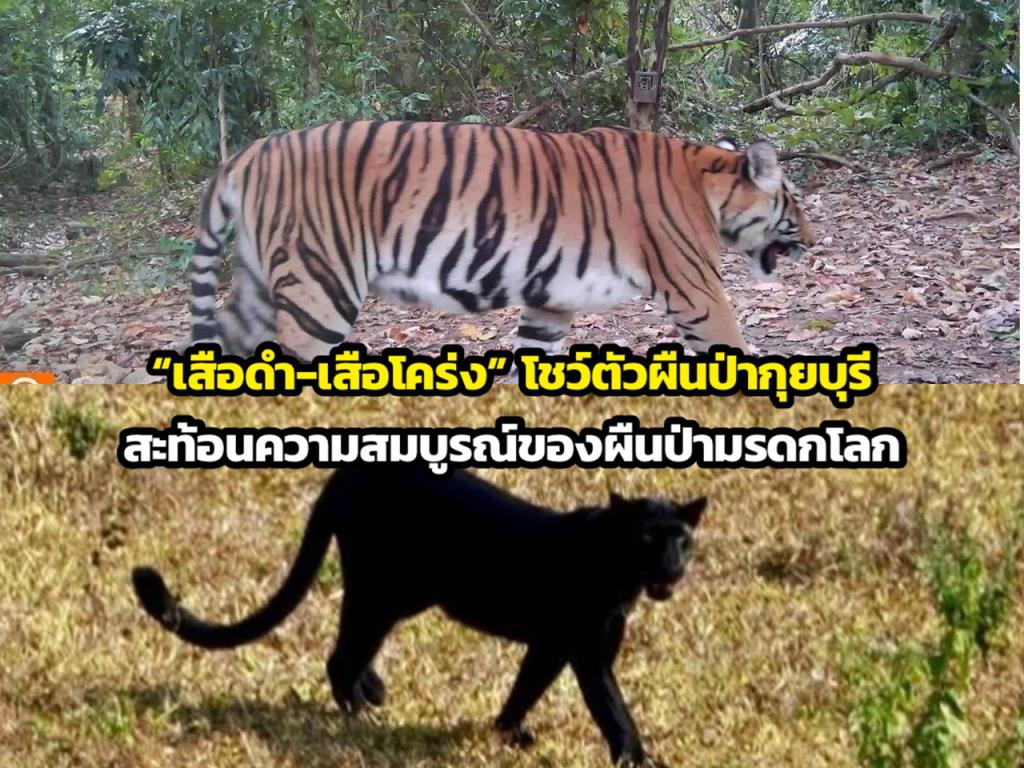 ภาพจาก อช.กุยบุรี