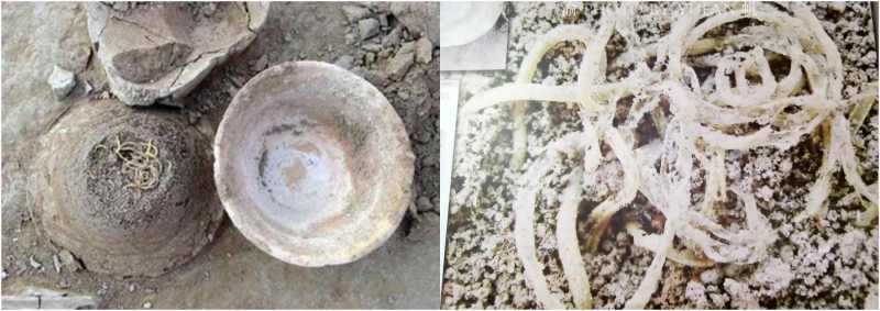 ย้อนหลังไปราว 4,000 ปี เส้นบะหมี่ถูกขุดพบที่ “ซากปรักหักพังหล่าเจีย” ในมณฑลชิงไห่ ซึ่งมักถูกเรียกขานว่า ปอมเปอีแห่งตะวันออก และเป็นหลักฐานยืนยันถึงประเพณีการบริโภคอาหารที่สืบทอดกันมาอย่างยาวนานของชาวจีน (แฟ้มภาพจากสื่อจีน)