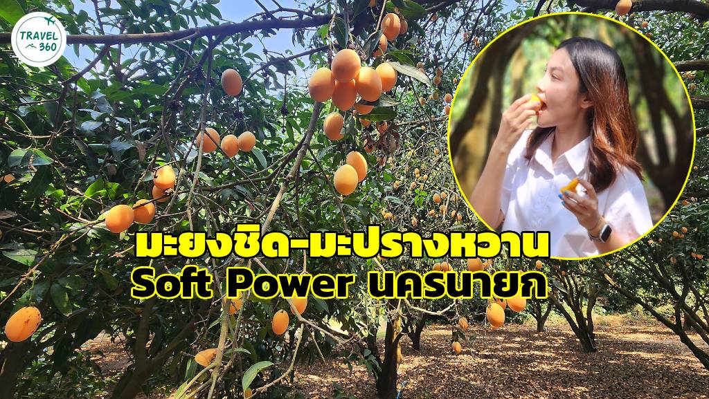 “มะยงชิด-มะปรางหวาน” Soft Power ผลไม้ GI ขึ้นชื่อของนครนายก 