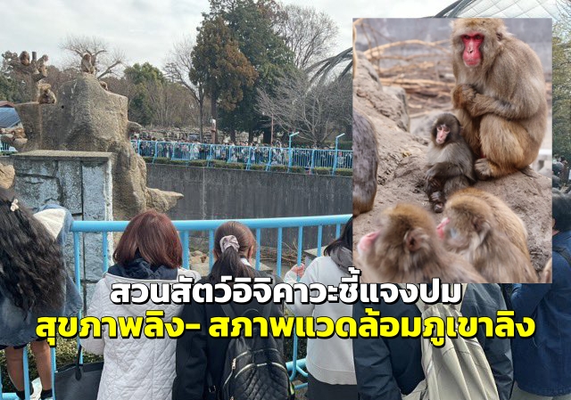Photo: ichikawa_zoo