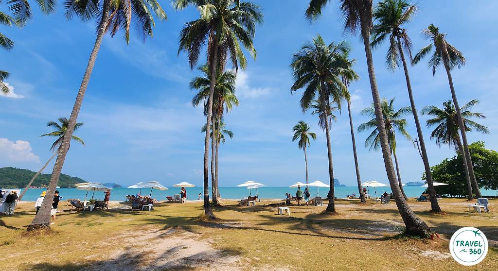 โซนพักผ่อนในดงต้นมะพร้าว แหลมหาด 