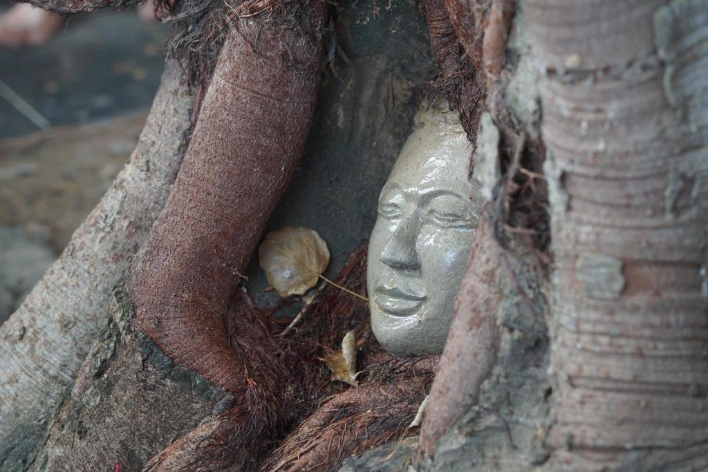 ภาพ: แฟนเพจวัดสวายชุม กัมพูชา