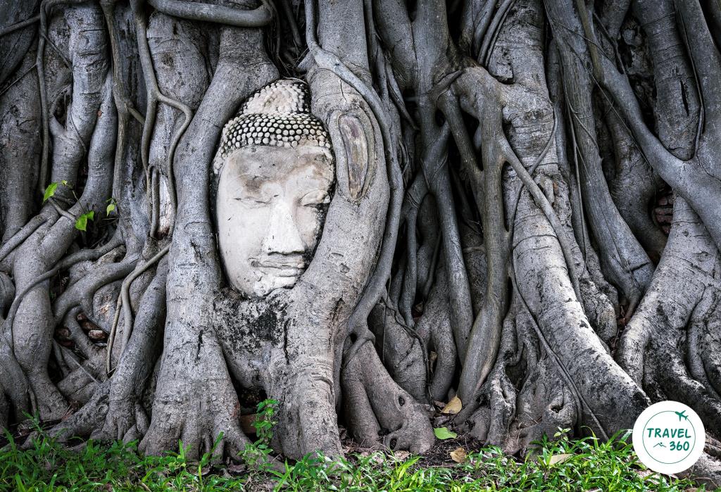 เศียรพระพุทธรูปในรากต้นโพธิ์ วัดมหาธาตุ อยุธยา