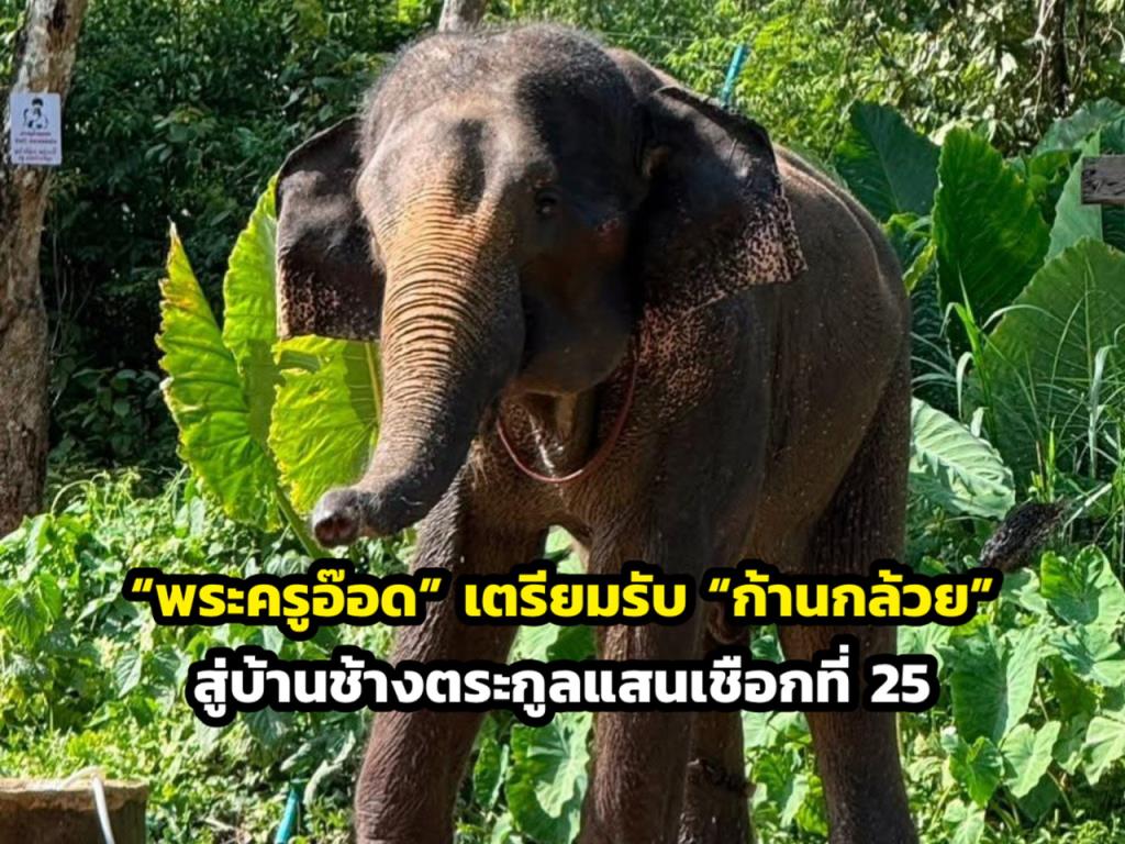 ภาพจากเพจพระครูอ๊อด วัดเจดีย์หลวงเชียงใหม่