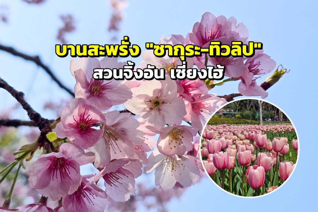 (ภาพวันที่ 11 มี.ค.69)