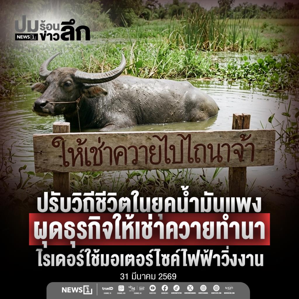 ปรับวิถีชีวิตในยุคน้ำมันแพง  ผุดธุรกิจให้เช่าควายทำนา  ไรเดอร์ใช้มอเตอร์ไซค์ไฟฟ้าวิ่งงาน