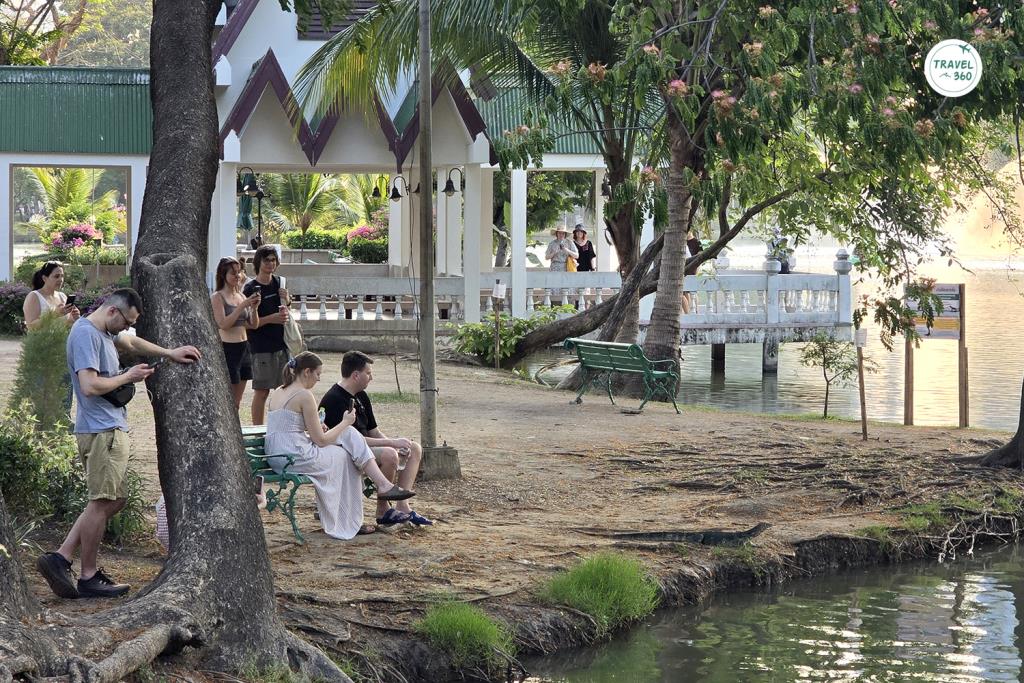 ดูเหี้ย