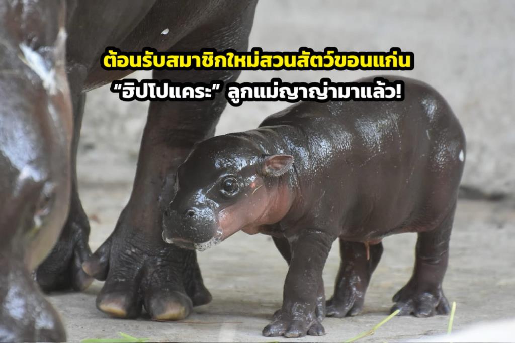 ภาพจากสวนสัตว์ขอนแก่น