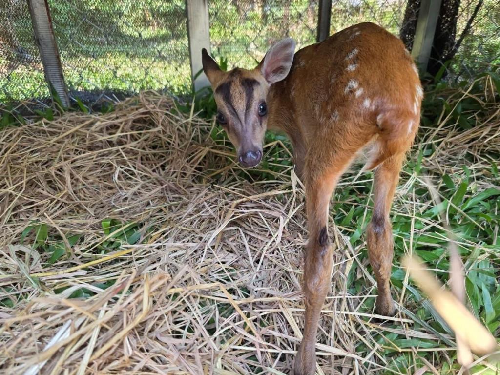 ภาพจากเพจ PR กรมอุทยานแห่งชาติ สัตว์ป่า และพันธุ์พืช