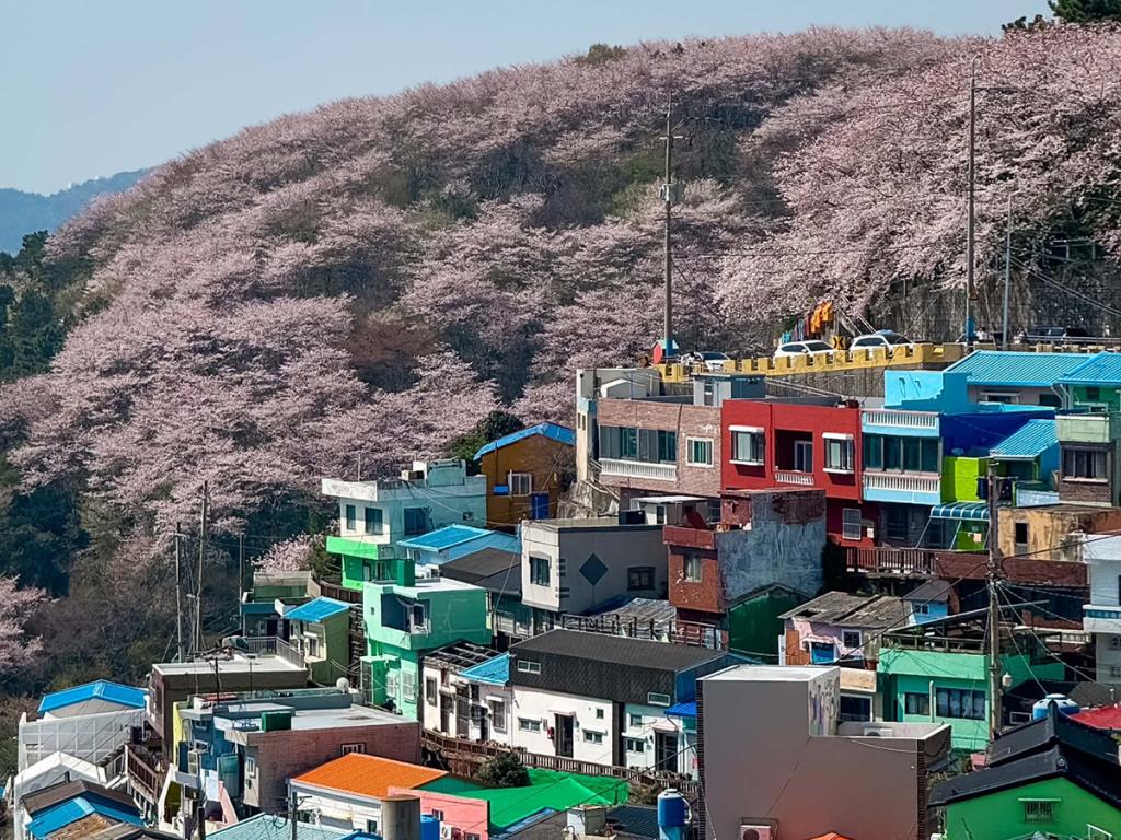 Gamcheon Culture Village