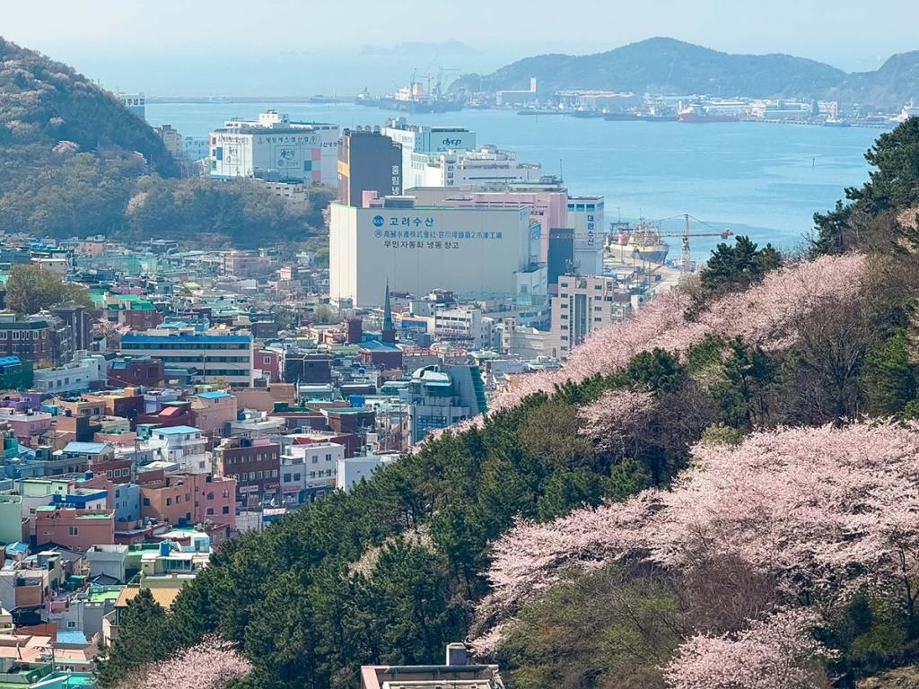 Gamcheon Culture Village