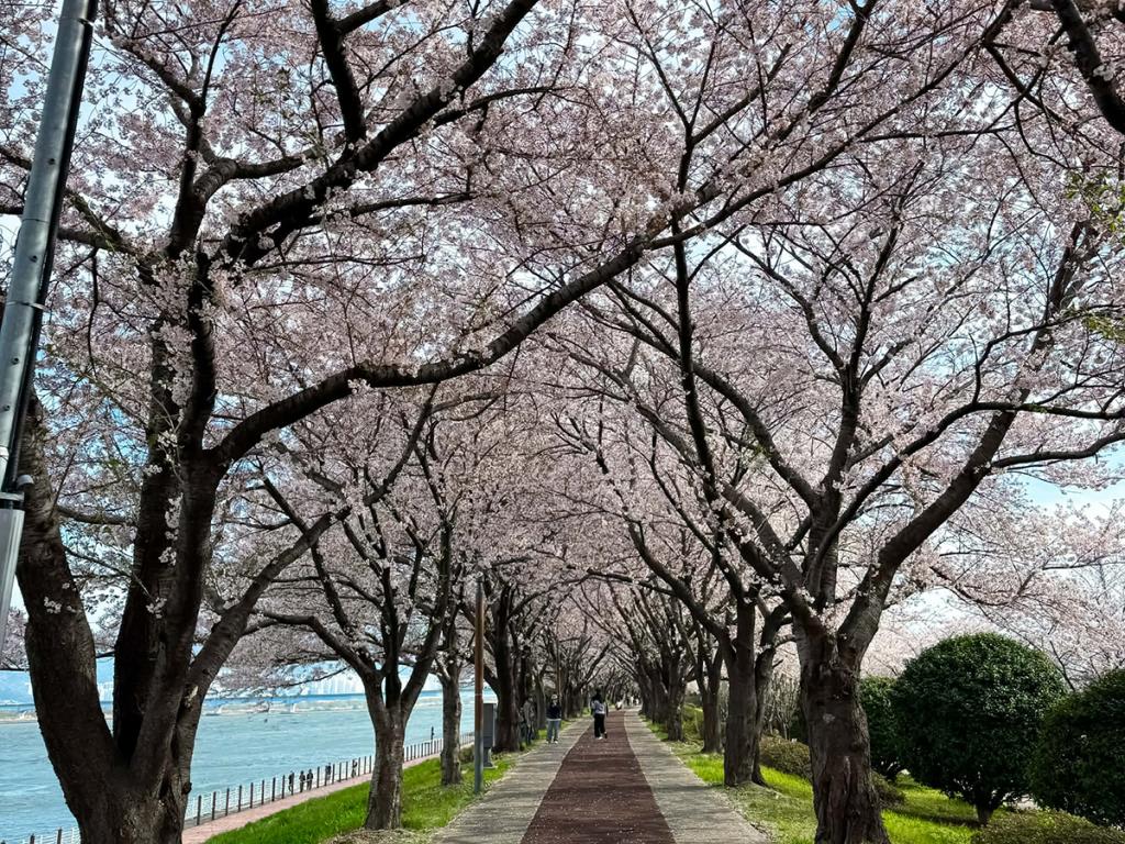 Maekdo Ecological Park