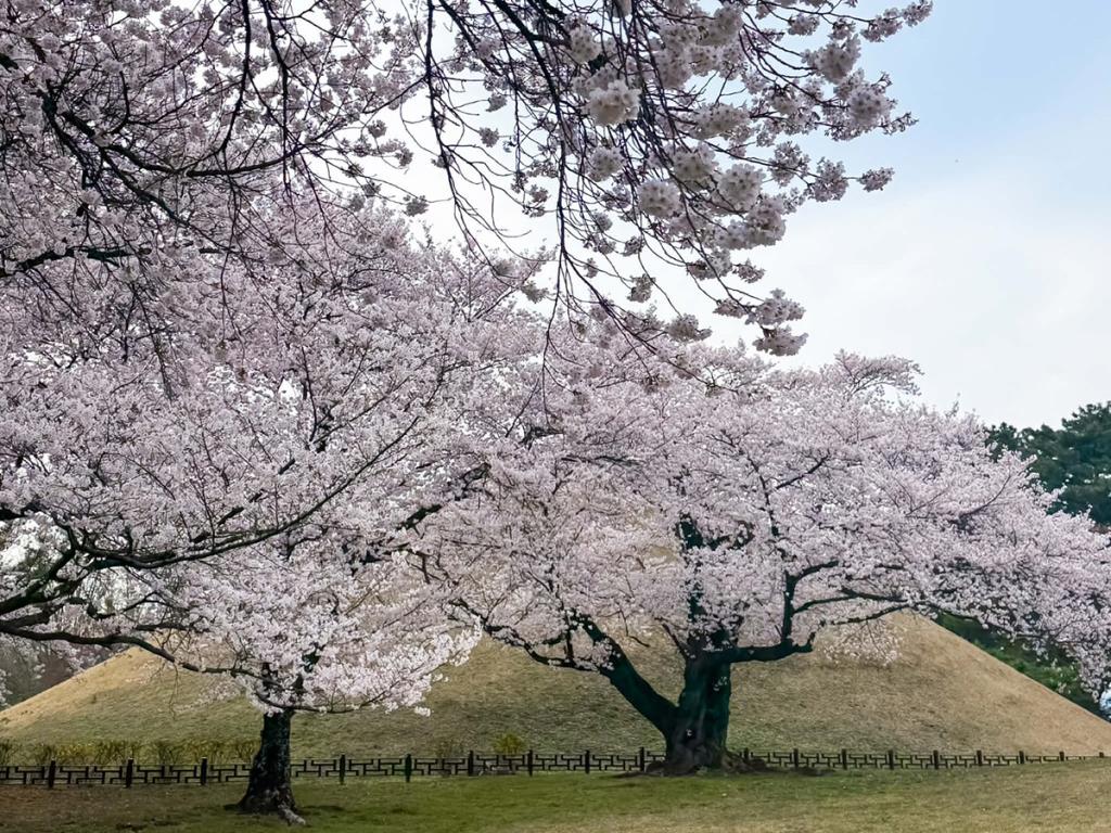 Daereungwon Tomb Complex